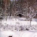 Vakantiehuis In Kollnburg Mit Garten Achslach