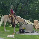 In Kollnburg Mit Garten