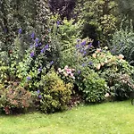 In Kollnburg Mit Garten Vakantiehuis