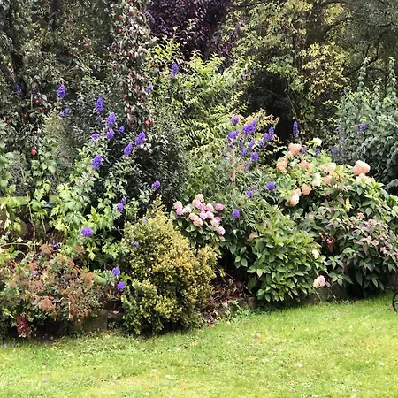 In Kollnburg Mit Garten Prázdninový dům