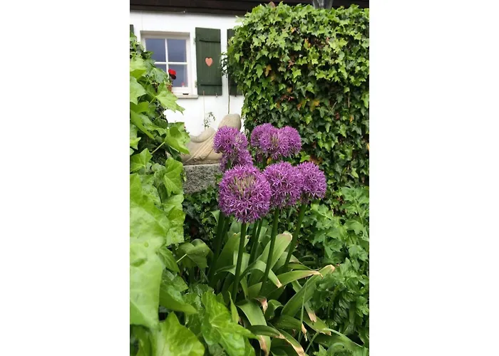 بيت للعطل In Kollnburg Mit Garten