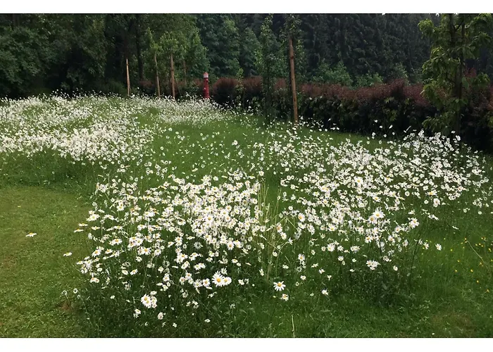 بيت للعطل In Kollnburg Mit Garten Achslach